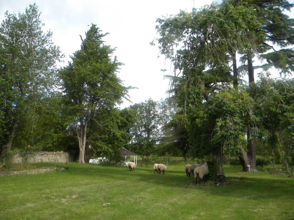 The House Near Bath Woolverton Exterior photo